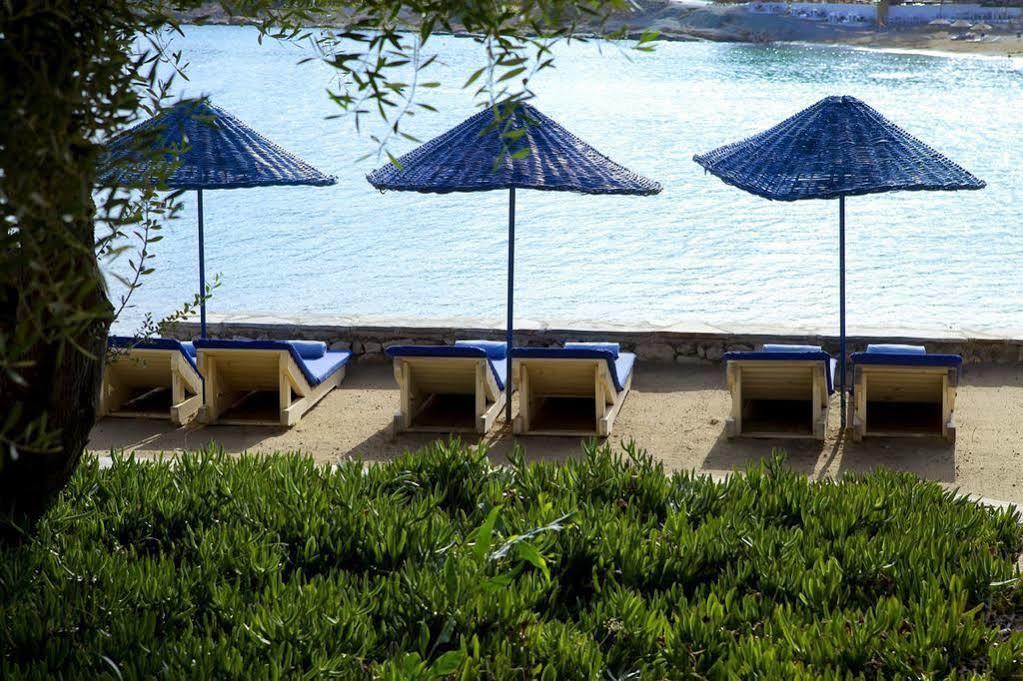 Maya Bistro Hotel & Beach Siğacık Esterno foto